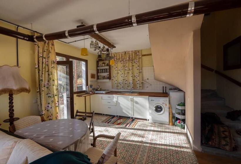 Quarto Dúplex, Torrhebia Dag Evi