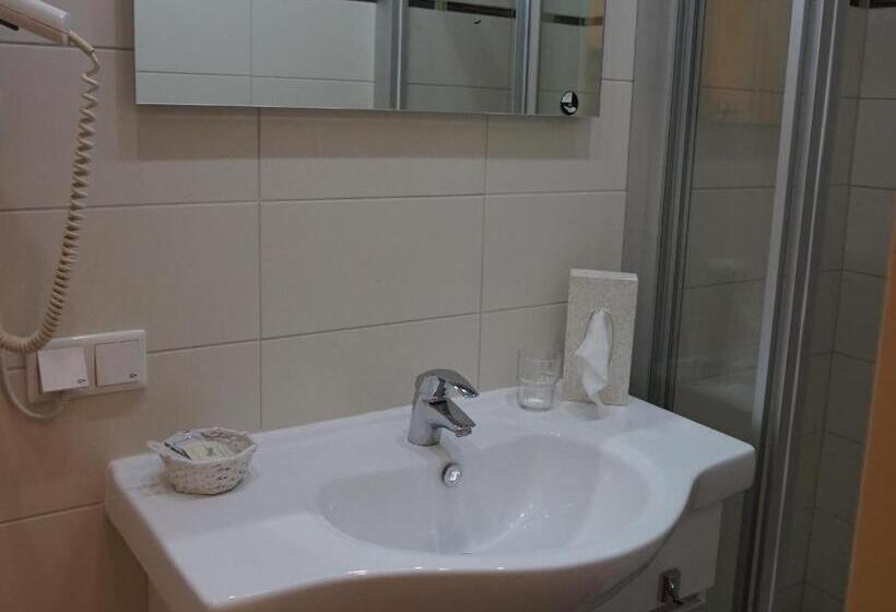 اتاق استاندارد یک نفره, Landhotel Pacher