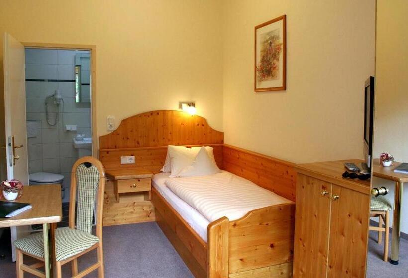 اتاق استاندارد یک نفره, Landhotel Pacher