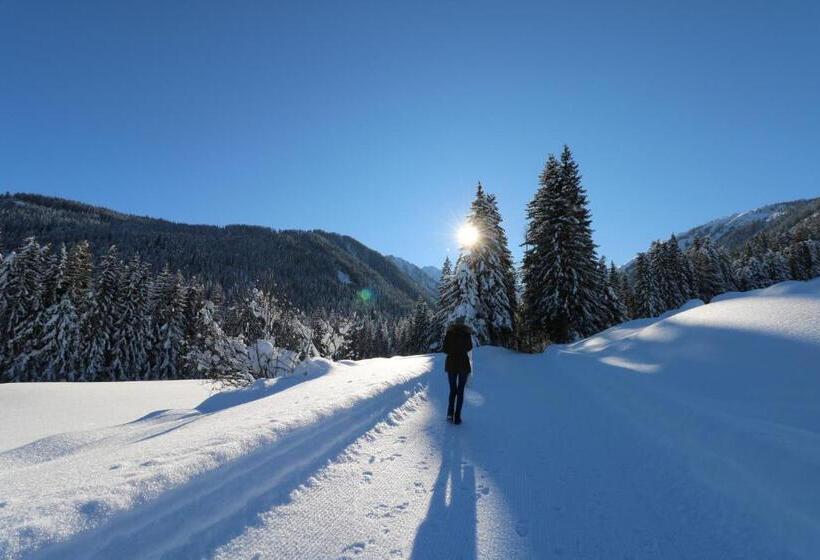 Номер Стандарт, Schöne Aussicht