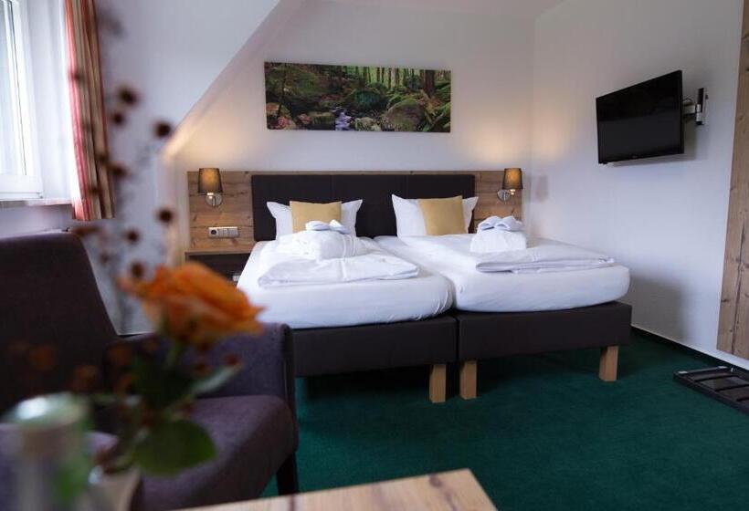 Номер Стандарт, Bsw Erlebnishotel Festenburg