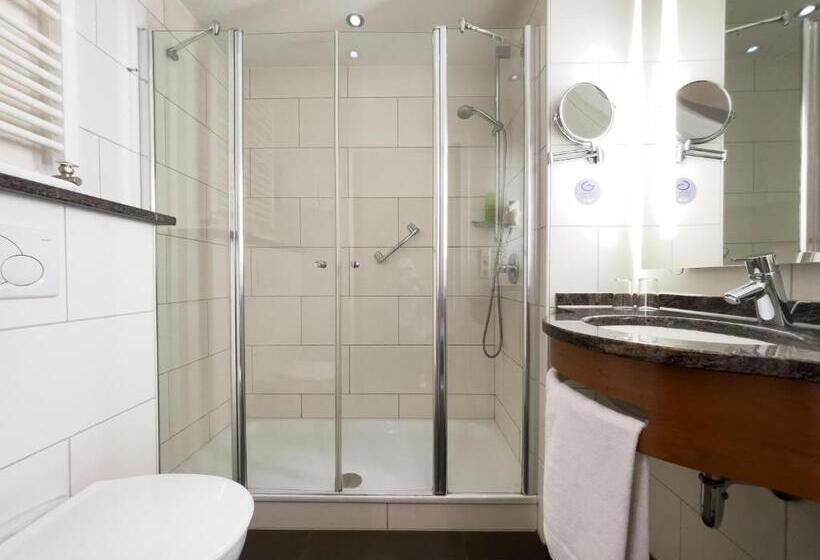 Номер Стандарт, Ott S Hotel Weinwirtschaft & Biergarten Weil Am Rhein/basel