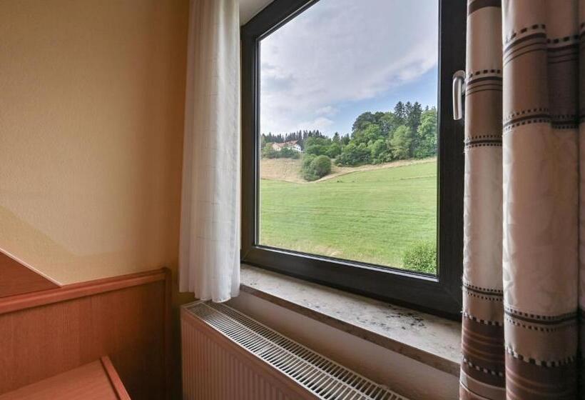 Номер Стандарт, Biohotel Eggensberger