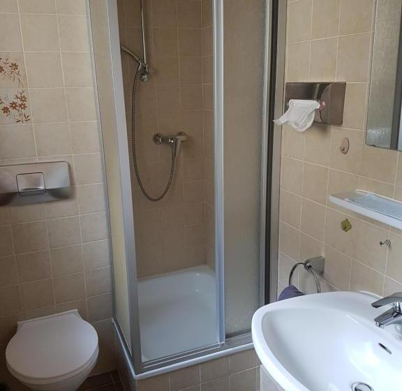 Номер Economy Индивидуальный, Kurhotel Roswitha