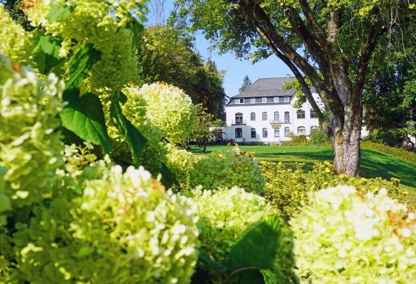 اتاق استاندارد, Dorint Parkhotel Siegen