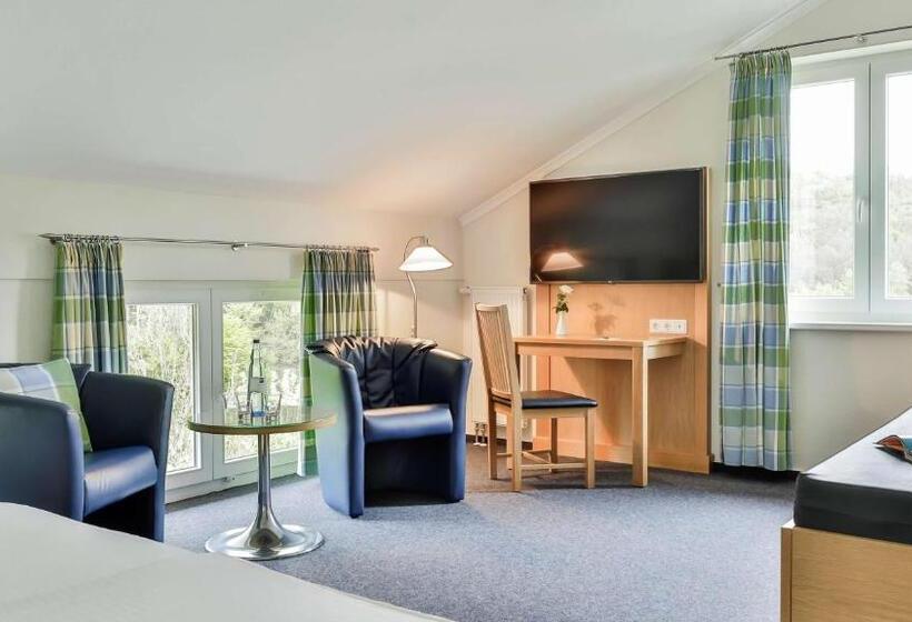 اتاق استاندارد, Dorint Parkhotel Siegen