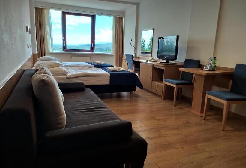 اتاق استاندارد, Interferie Sport Hotel Bornit