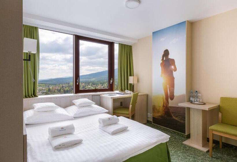 اتاق عادی, Interferie Sport Hotel Bornit