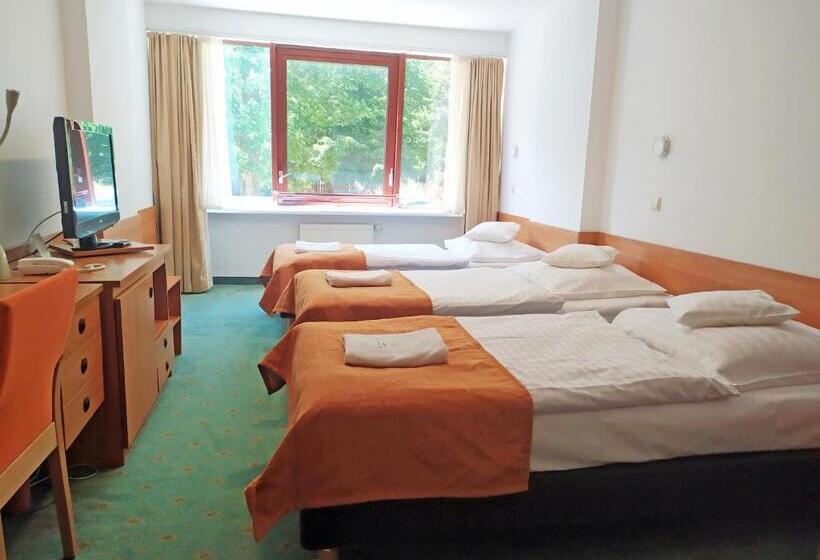 اتاق استاندارد سه نفره, Interferie Sport Hotel Bornit
