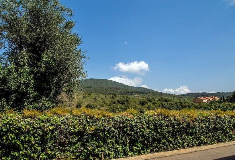 标准间, Valle Del Buttero