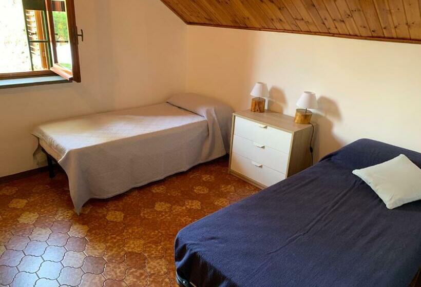 اتاق استاندارد با سرویس بهداشتی مشترک, B&b Casa Di Antonio_etna Vacanze