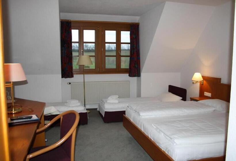 4인용 스탠다드 룸, Landhotel Geiselwind