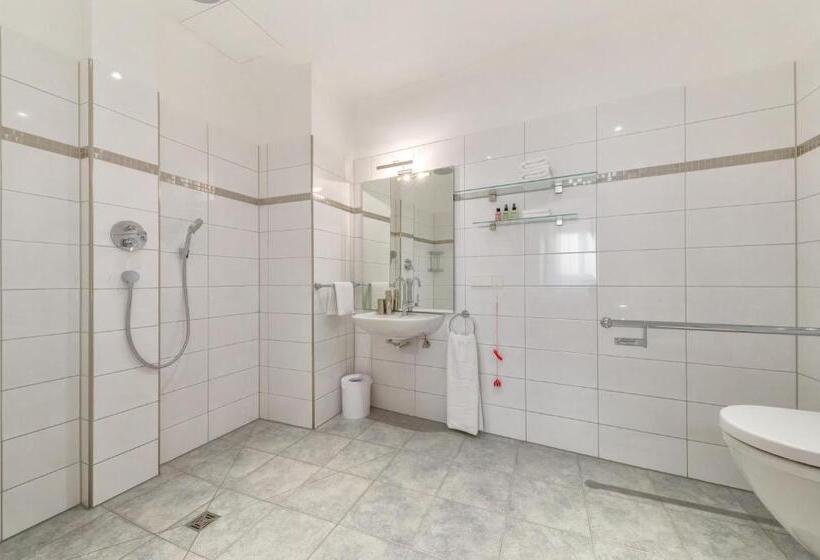 اتاق استاندارد با تخت بزرگ برای معلولان, Art Hotel House One
