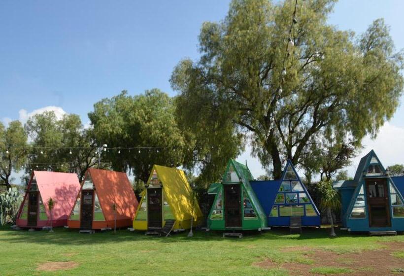 اتاق استاندارد, Vicalis Hotel, Villas Y Glamping