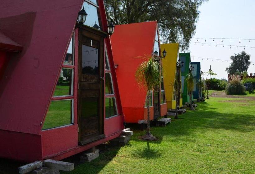 اتاق استاندارد چهار تخته, Vicalis Hotel, Villas Y Glamping