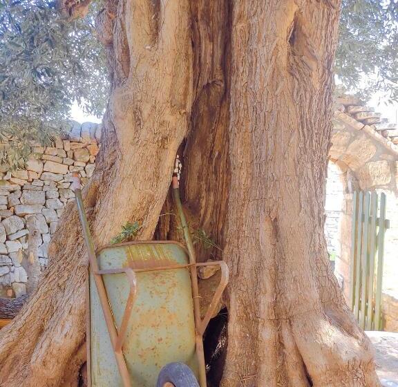 Номер Basic, Masseria Calò