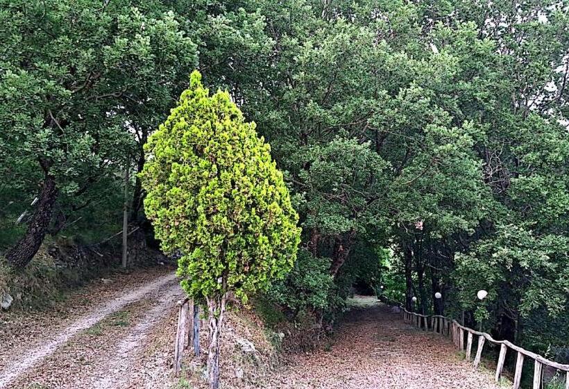 Номер Economy, Agriturismo Cupiglione