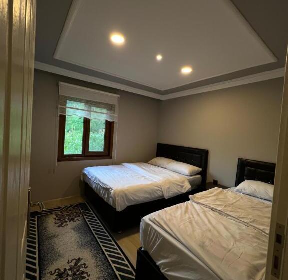 ویلای 1 خوابه, şen Buti̇k Otel Ve Bungalov
