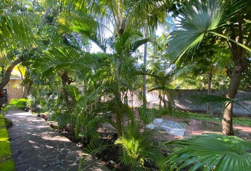 اتاق خانوادگی, Lote 44 Guesthouse
