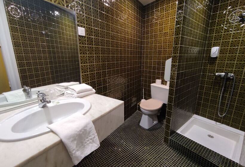 스탠다드 룸, Citotel Lion D Or