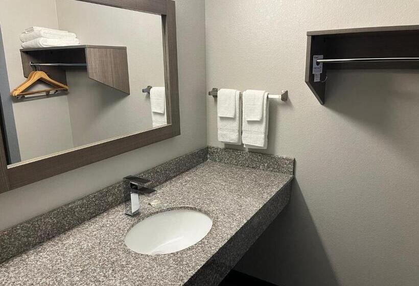 Люкс Адаптированный для Инвалидов, Red Roof Inn & Suites Wilkesboro
