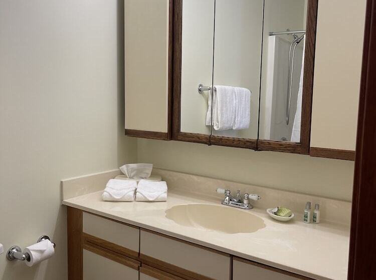 Люкс, The Central Downtown Inn Suites