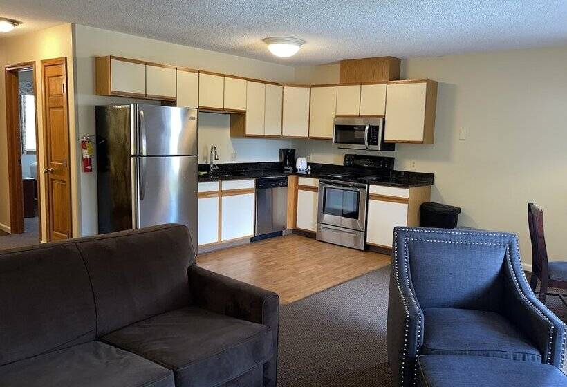 Люкс, The Central Downtown Inn Suites