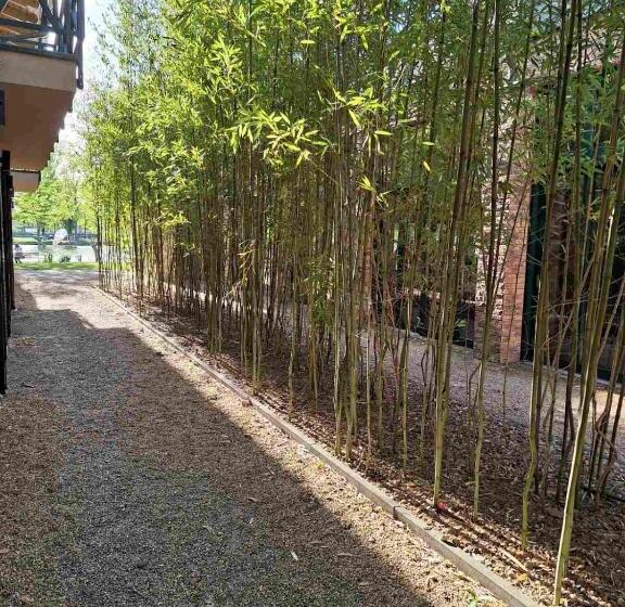 اتاق استاندارد, Duna Garden