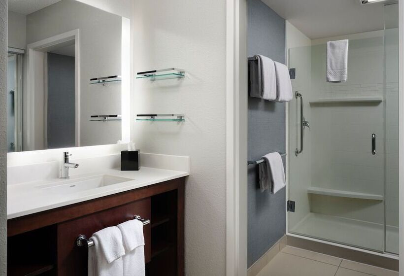带2个卧室的套房, Residence Inn By Marriott Grand Rapids Airport