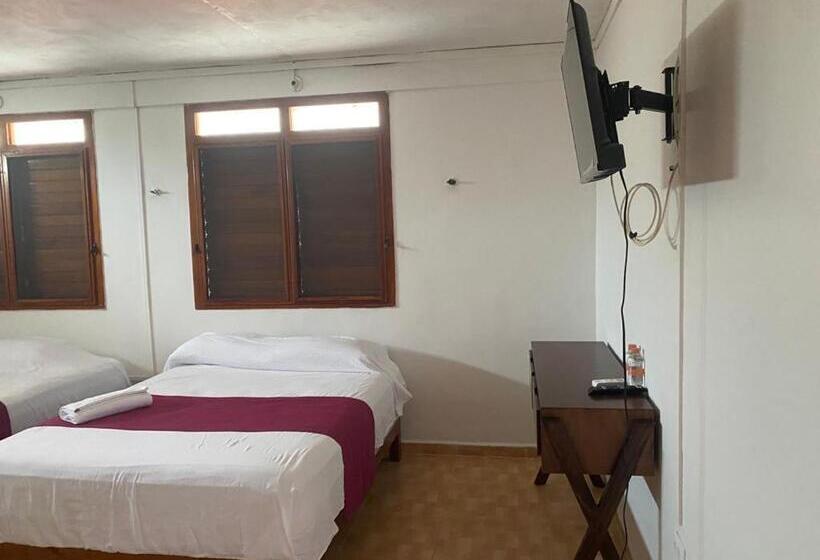اتاق استاندارد با چشم‌انداز استخر, Villa Chic