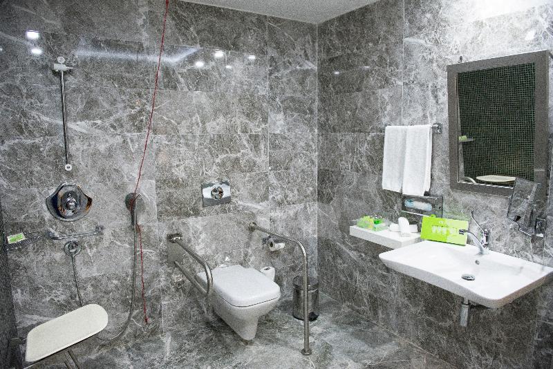 اتاق استاندارد با تخت بزرگ برای معلولان, Holiday Inn Gaziantep, An Ihg
