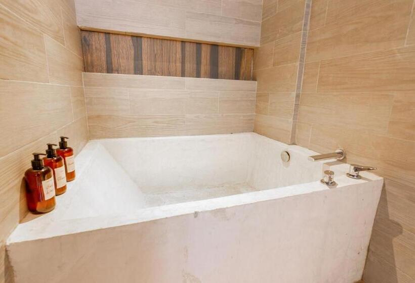1 Bedroom Penthouse Apartment, Toh House Luxury By Boutique Apartments Mx