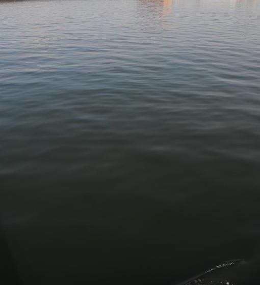 Апартаменты 1 Спальня Вид на Море, Residentie Oosterschelde