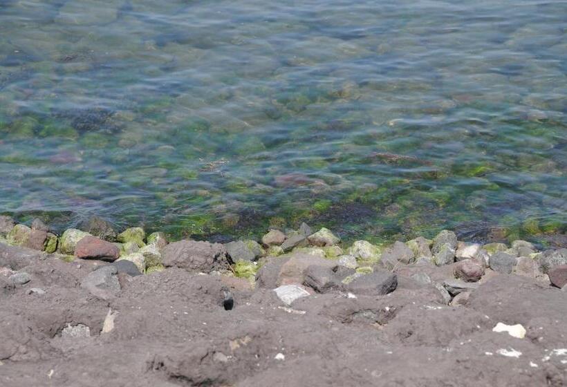 Студия Стандарт Вид на Море, Residentie Oosterschelde