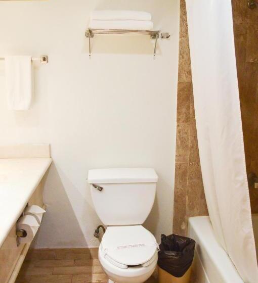 اتاق استاندارد با تخت بزرگ, Armida Express