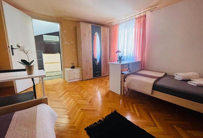 اتاق استاندارد با سرویس بهداشتی مشترک, House365