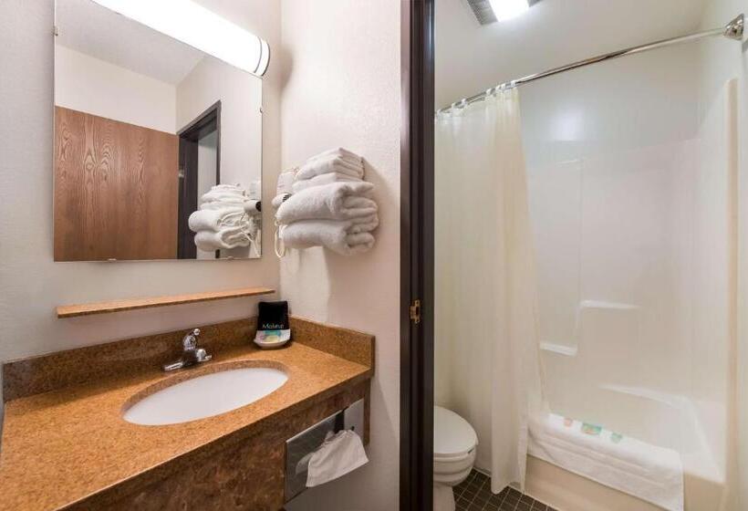 Стандартный Номер Кровать Кинг, Surestay Hotel By Best Western Spicer