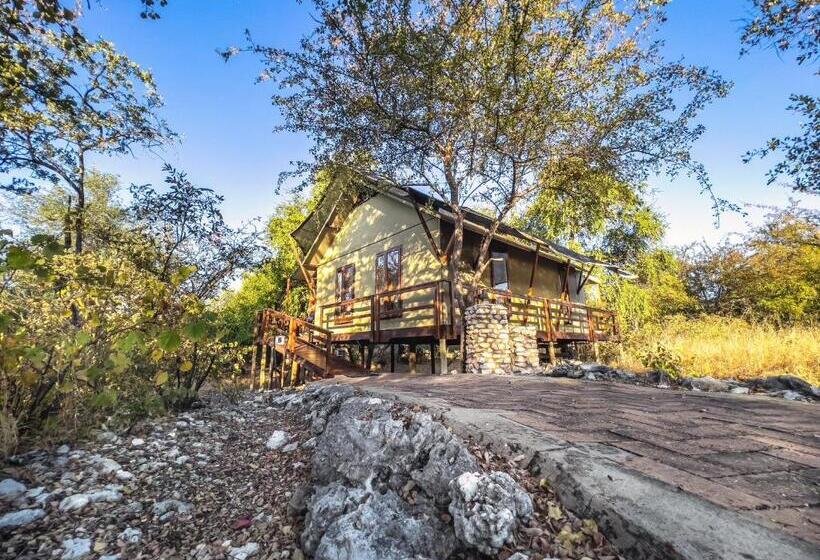 اتاق استاندارد, The Mushara Outpost
