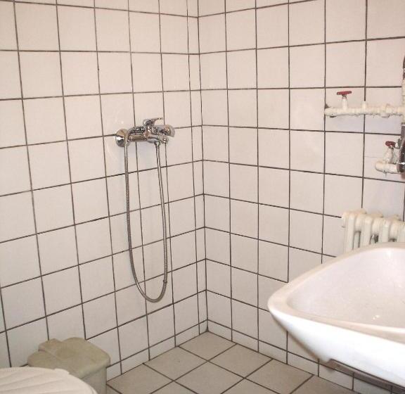 Номер Стандарт Трехместный, Family Hotel Bisser