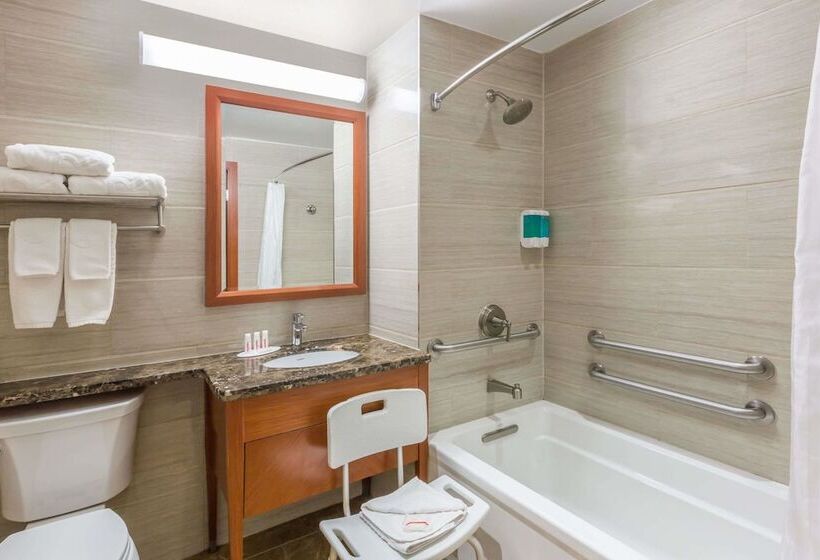 اتاق استاندارد با 2 تخت دوبل, Ramada By Wyndham Flushing Queens