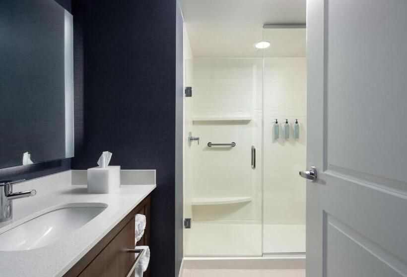 Студия Стандарт, Residence Inn By Marriott Tampa Wesley Chapel