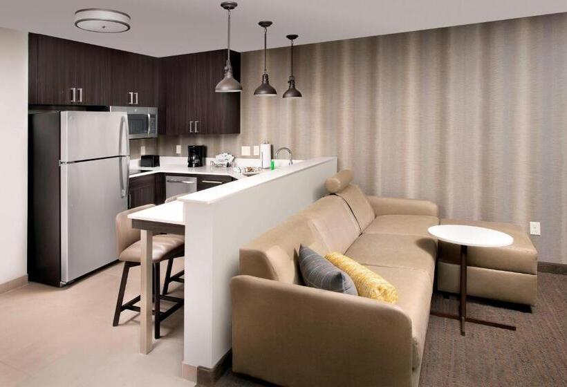Студия Стандарт, Residence Inn By Marriott Tampa Wesley Chapel