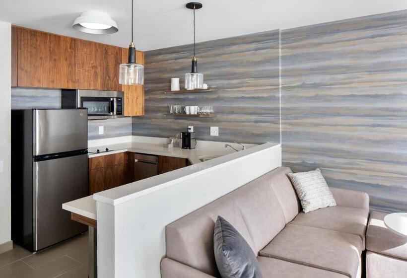 Студио Стандарт Кровать Кинг, Residence Inn By Marriott Tampa Wesley Chapel