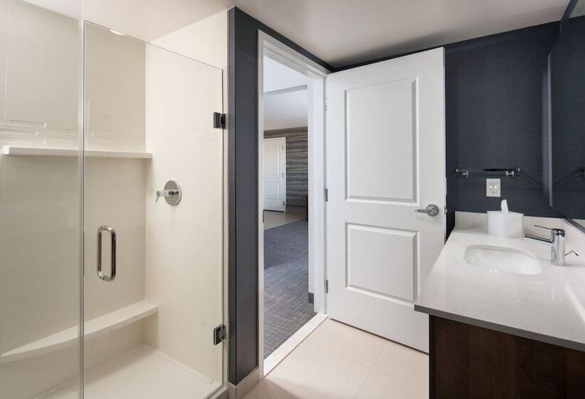 Люкс, Residence Inn By Marriott Tampa Wesley Chapel