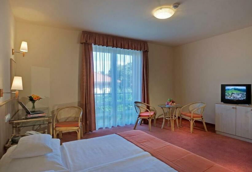 Номер Стандарт Индивидуальный, Termálhotel Martfű