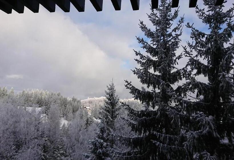 آپارتمان 1 خوابه با چشم‌انداز, Apartament 2706 Alpin Resort, Etaj 7, Poiana Brașov