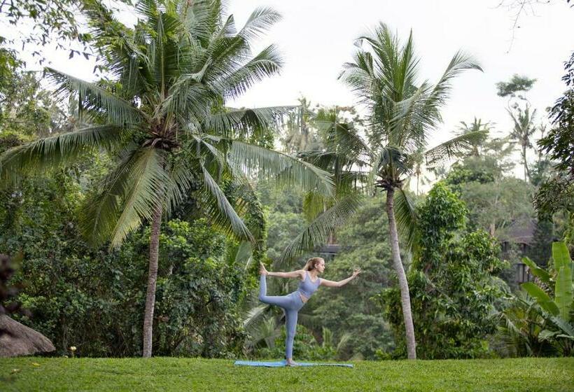 Номер Deluxe, The Allure Ubud Villas