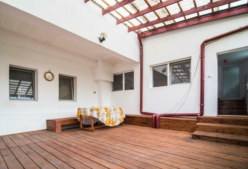 스탠다드 룸 산 전망, Transylvania Guest House
