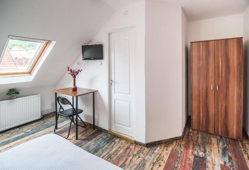 스탠다드 룸 산 전망, Transylvania Guest House