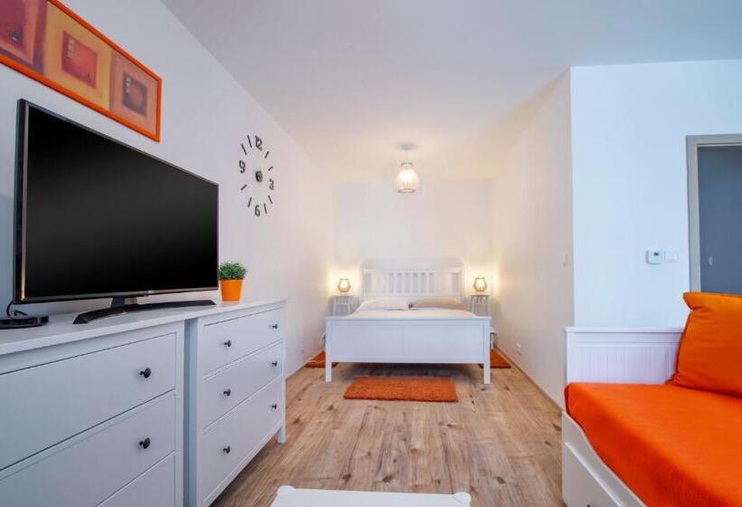 Студия Стандарт, Aparthotel Klínovec Views